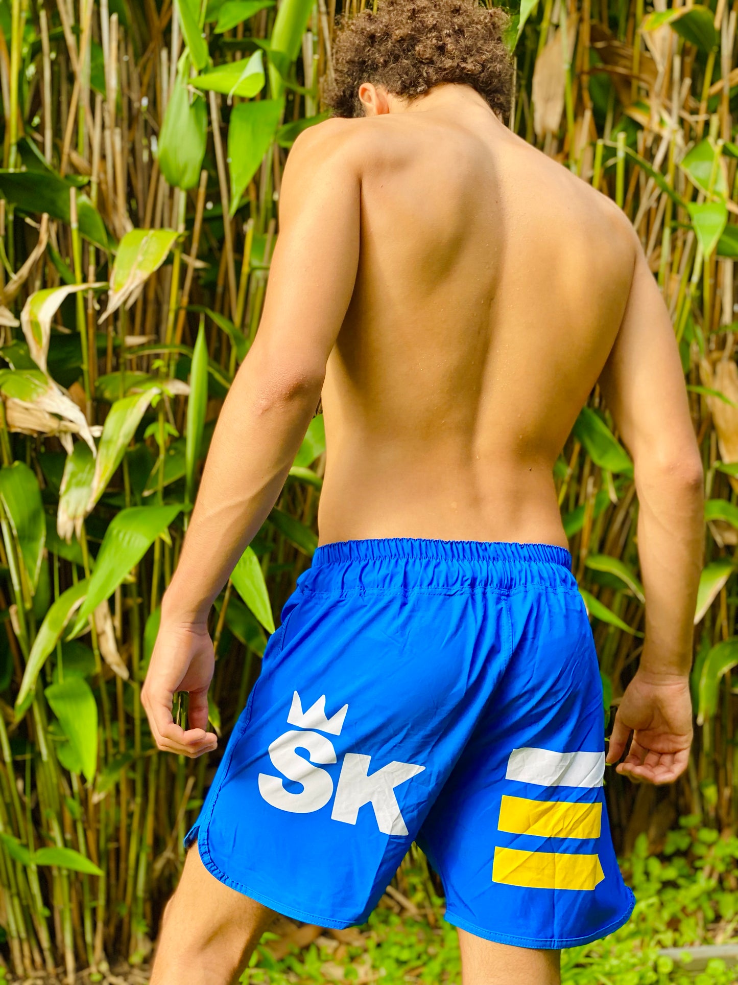 No-Gi Shorts | Crown22 | Blue