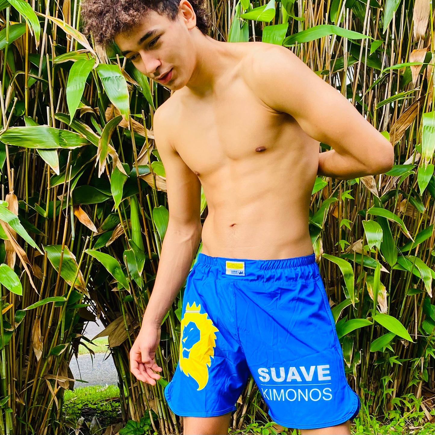 No-Gi Shorts | Crown22 | Blue